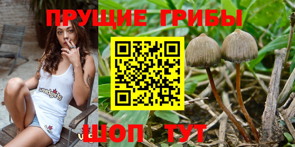 Галлюциногенные грибы GOLDEN TEACHER Унеча