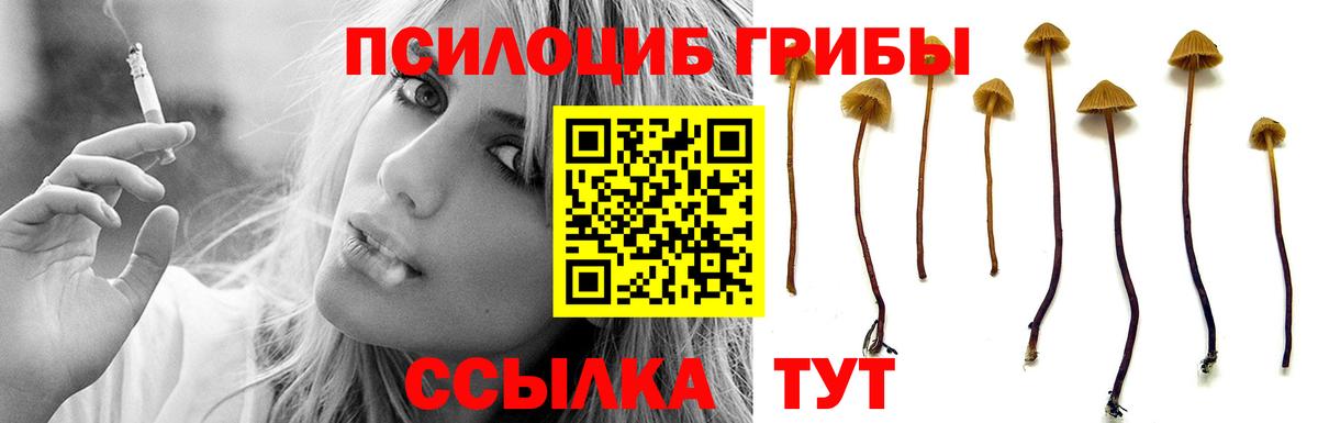 купить закладку  Галлюциногенные грибы MAGIC MUSHROOMS  Вход с VPN  Унеча 